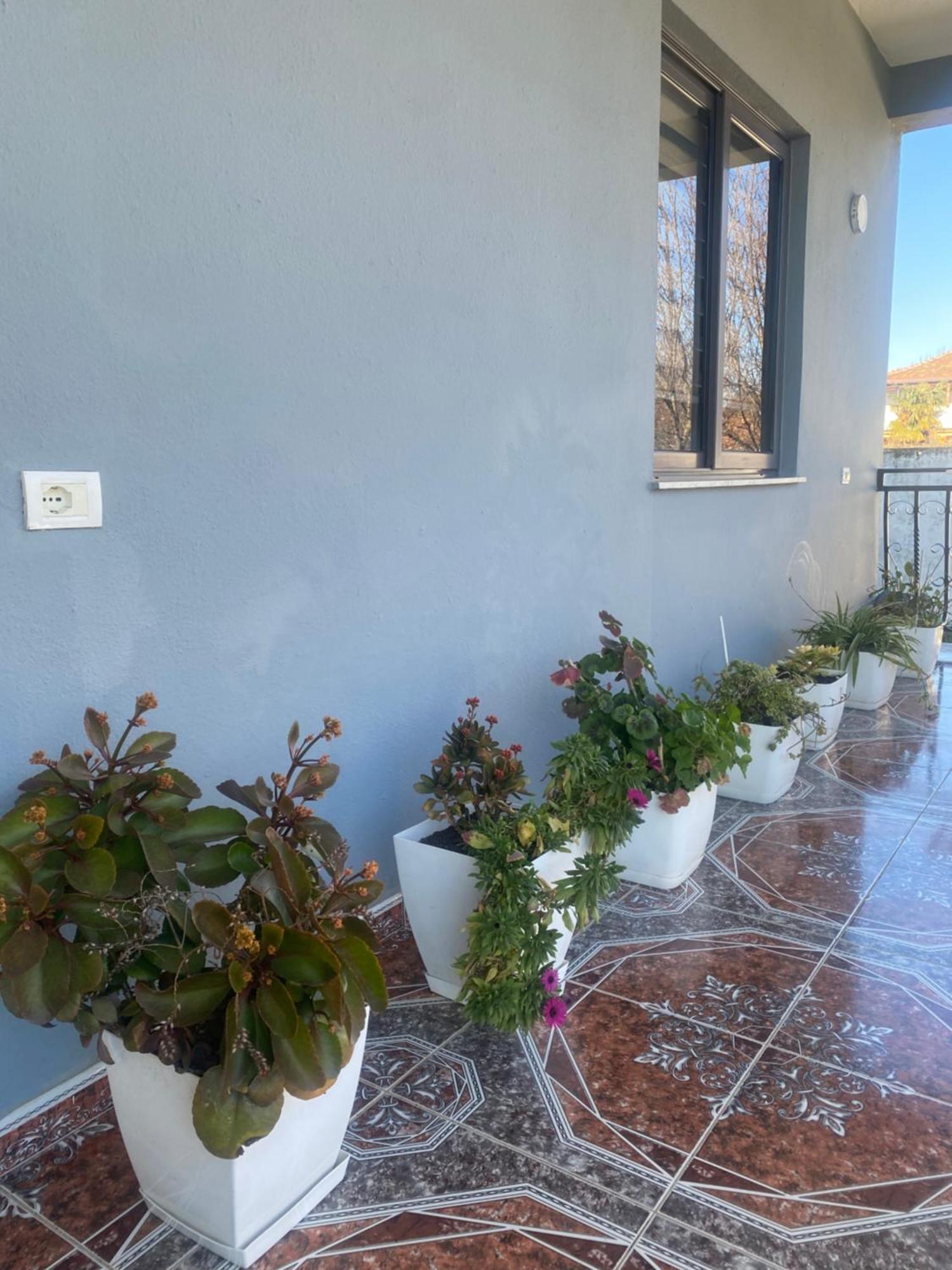 The Hideaway Guesthouse Bahçallëk المظهر الخارجي الصورة
